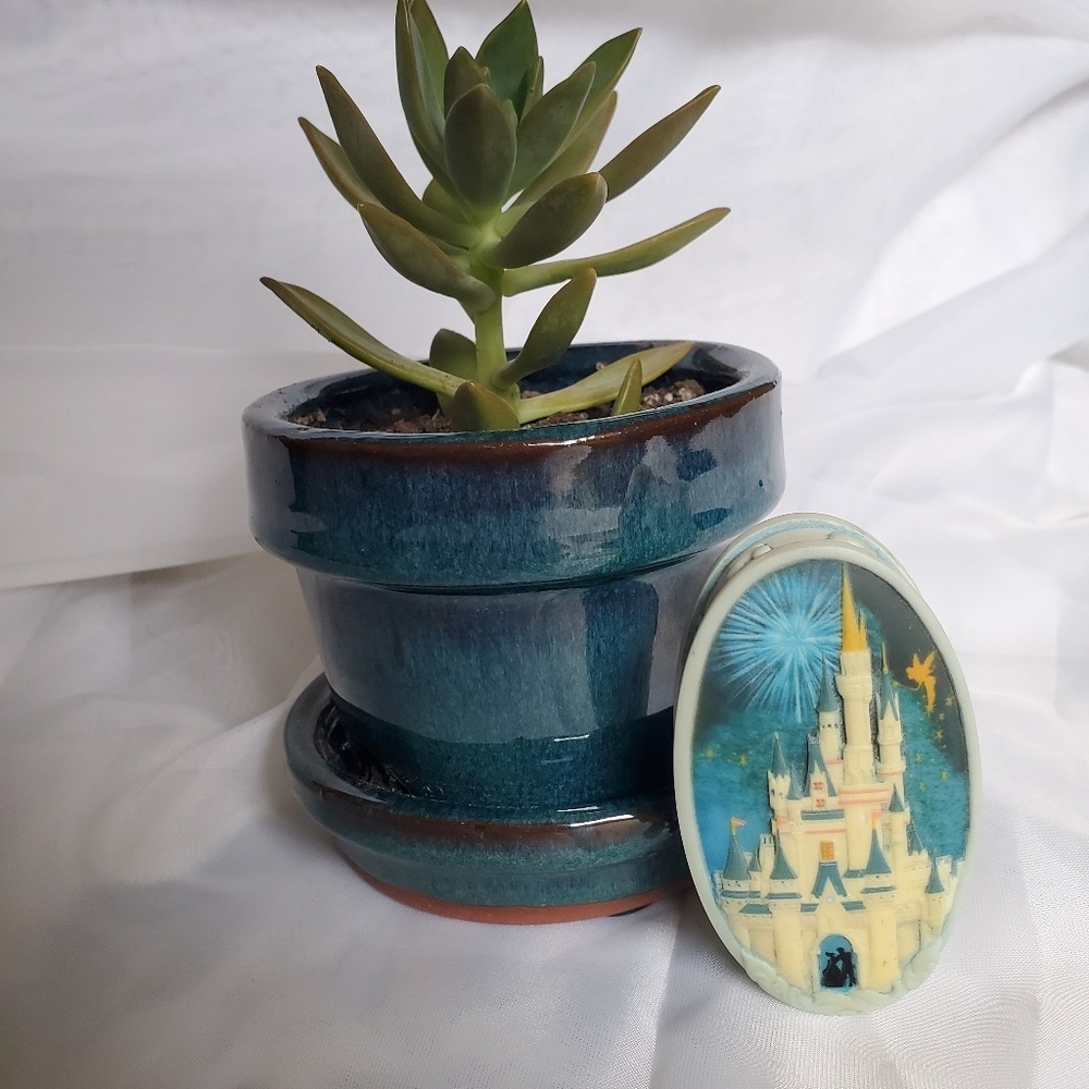 Cinderella's Castle Pokitpal Pillbox